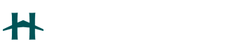 LOGO PANTONE 126-16C - HEXAGONE AVIATION NEWS BLANC