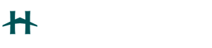 LOGO PANTONE 126-16C - HEXAGONE AVIATION NEWS BLANC